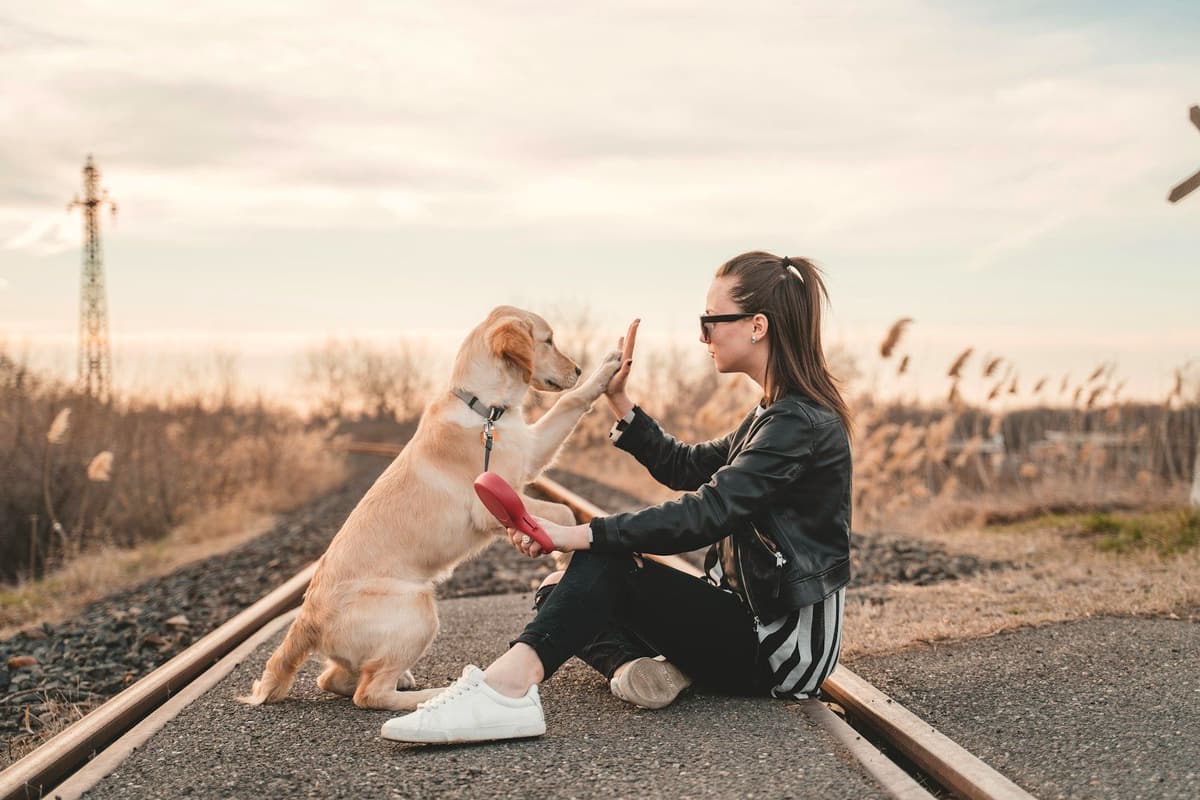 A woman high-fives her dog